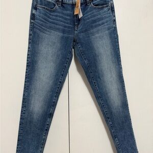 American Eagle Outfitters Blue Skinny Jeans